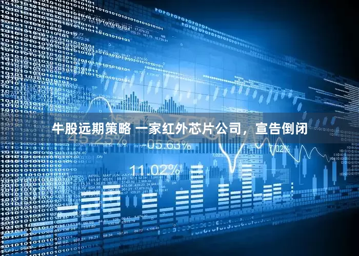 牛股远期策略 一家红外芯片公司，宣告倒闭